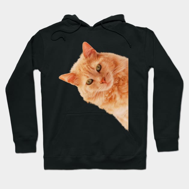 Cat Peekaboo Hoodie by Studio-Sy